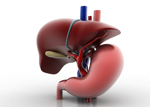 gastroenterolog_st.antipa_dnepr.jpg gastroenterolog_st.antipa_dnepr.jpg