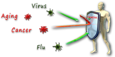 immunologist_st.antipa_dnepr.png