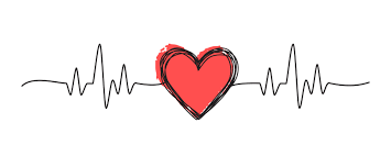electrocardiography_ekg_st.antipa_dnepr.png